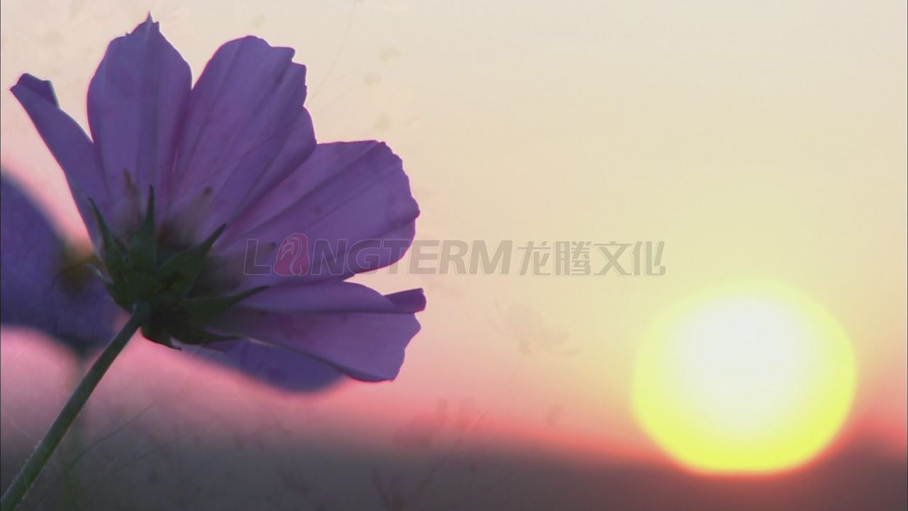 華為集團(tuán)公司微電影_華為公司微電影_華為公司企業(yè)宣傳片_華為公司專(zhuān)題宣傳片拍攝制作