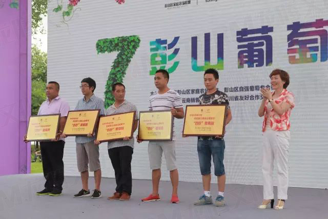 繽紛葡萄節(jié)，打響彭山旅游第一炮！