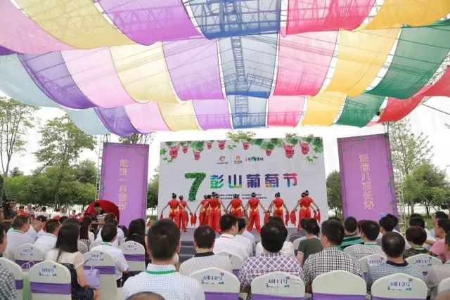 繽紛葡萄節(jié)，打響彭山旅游第一炮！