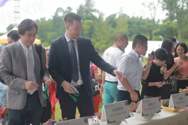 繽紛葡萄節(jié)，打響彭山旅游第一炮！