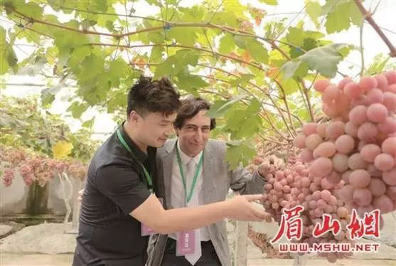 繽紛葡萄節(jié)，打響彭山旅游第一炮！