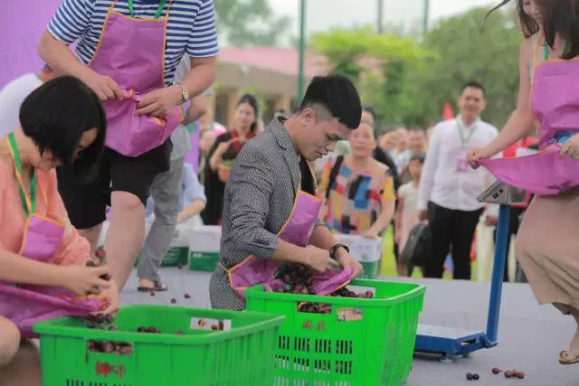 繽紛葡萄節(jié)，打響彭山旅游第一炮！