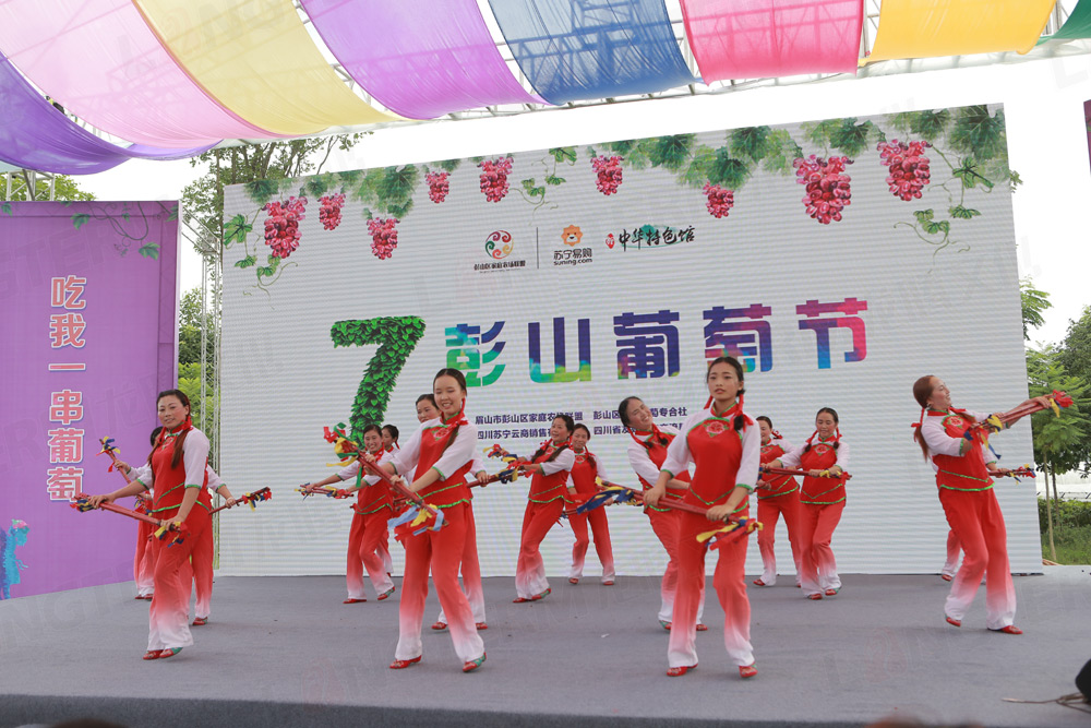 彭山葡萄節(jié)活動(dòng)策劃_葡萄節(jié)活動(dòng)_城市節(jié)日活動(dòng)策劃_地方特色活動(dòng)策劃