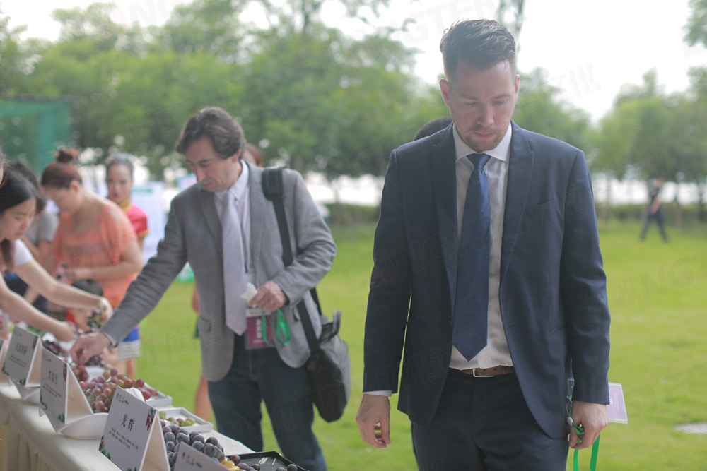 彭山葡萄節(jié)活動(dòng)策劃_葡萄節(jié)活動(dòng)_城市節(jié)日活動(dòng)策劃_地方特色活動(dòng)策劃