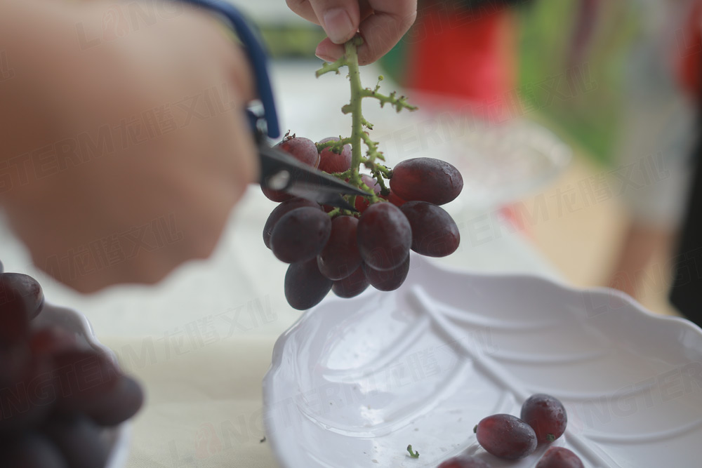 彭山葡萄節(jié)活動(dòng)策劃_葡萄節(jié)活動(dòng)_城市節(jié)日活動(dòng)策劃_地方特色活動(dòng)策劃