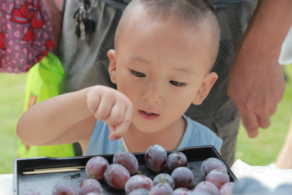 彭山葡萄節(jié)活動(dòng)策劃_葡萄節(jié)活動(dòng)_城市節(jié)日活動(dòng)策劃_地方特色活動(dòng)策劃