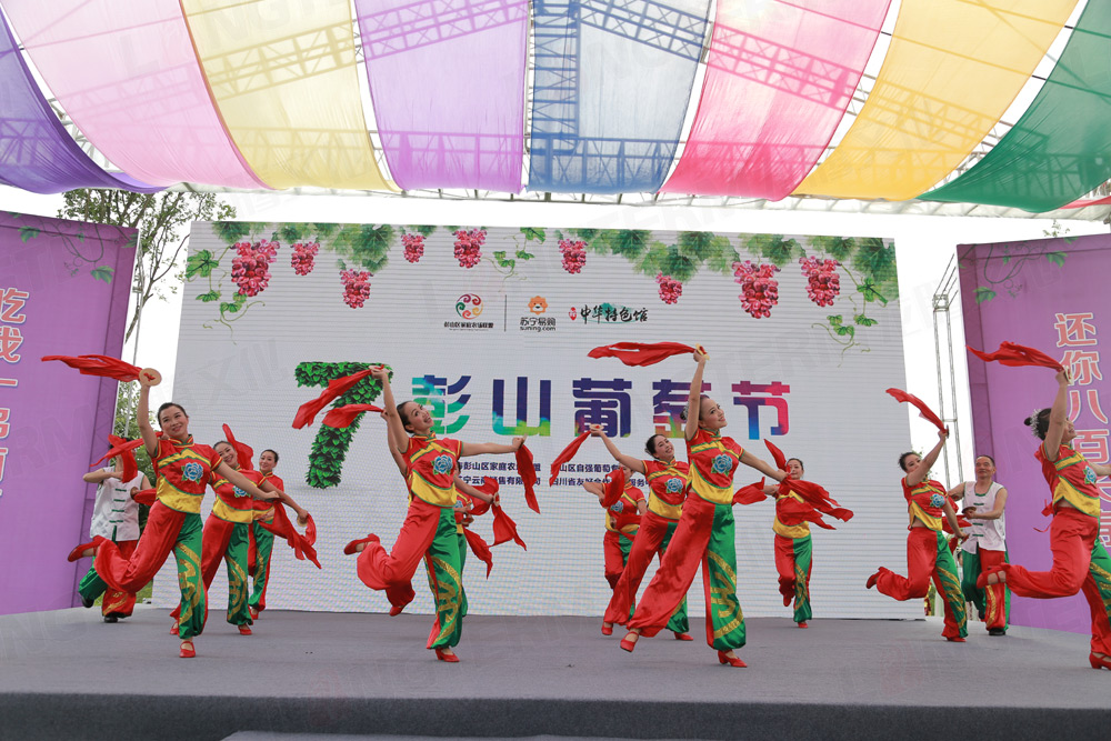 彭山葡萄節(jié)活動(dòng)策劃_葡萄節(jié)活動(dòng)_城市節(jié)日活動(dòng)策劃_地方特色活動(dòng)策劃