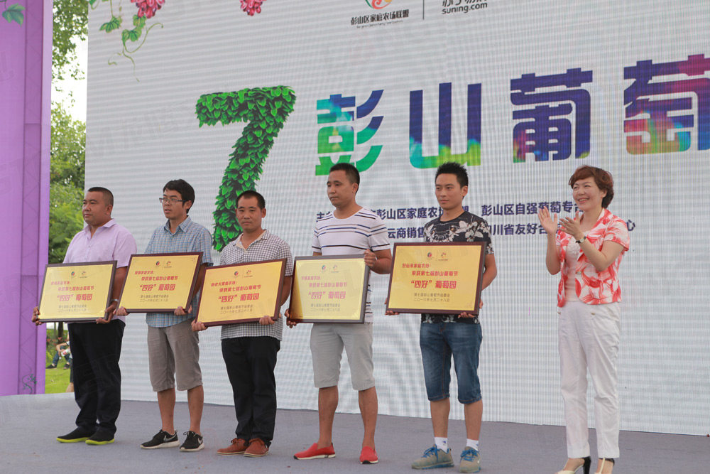 彭山葡萄節(jié)活動(dòng)策劃_葡萄節(jié)活動(dòng)_城市節(jié)日活動(dòng)策劃_地方特色活動(dòng)策劃