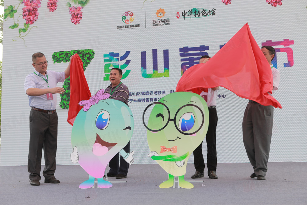 彭山葡萄節(jié)活動(dòng)策劃_葡萄節(jié)活動(dòng)_城市節(jié)日活動(dòng)策劃_地方特色活動(dòng)策劃