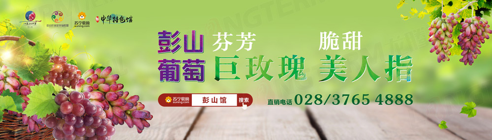 彭山葡萄節(jié)活動(dòng)策劃_葡萄節(jié)活動(dòng)_城市節(jié)日活動(dòng)策劃_地方特色活動(dòng)策劃