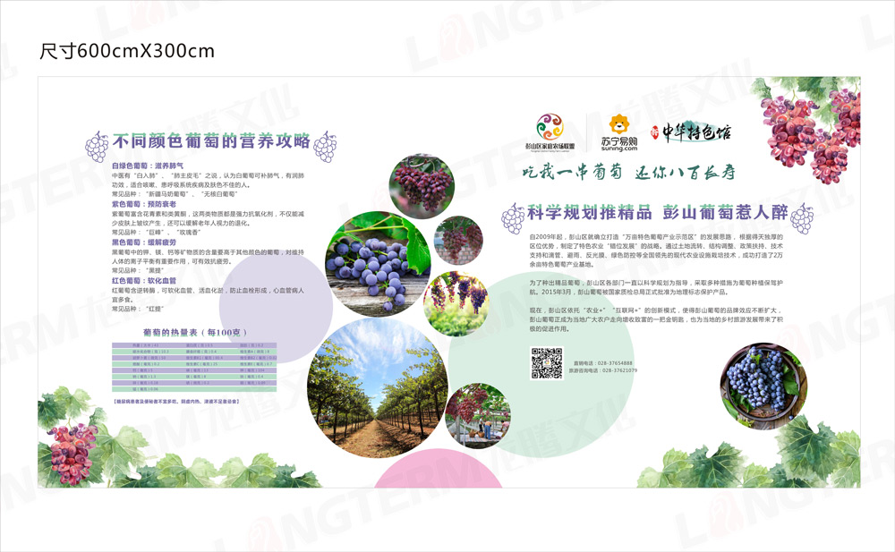 彭山葡萄節(jié)活動(dòng)策劃_葡萄節(jié)活動(dòng)_城市節(jié)日活動(dòng)策劃_地方特色活動(dòng)策劃