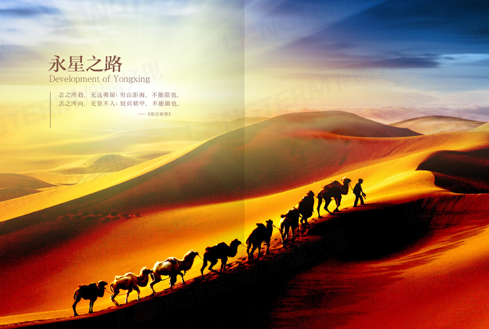 四川永星電子50周年紀(jì)念畫冊(cè)設(shè)計(jì)