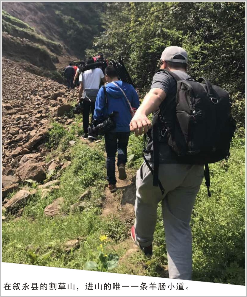 忙，忙，忙并快樂著：龍騰文化四部影視大片齊開機(jī)！