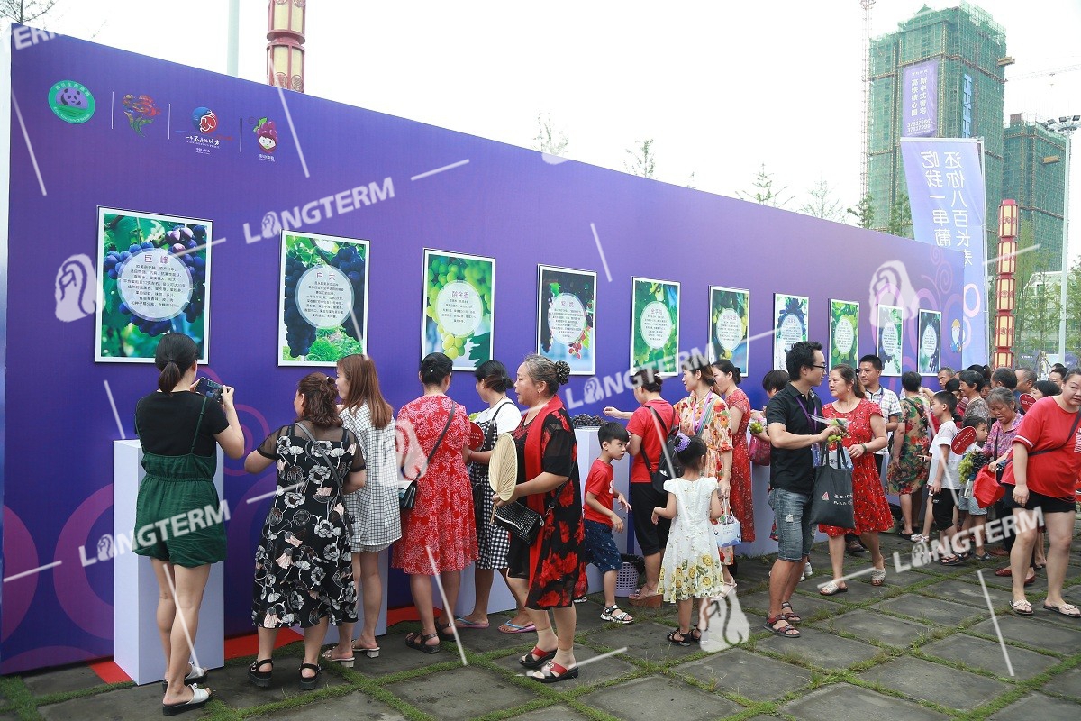 2019彭山葡萄節(jié)活動(dòng)策劃