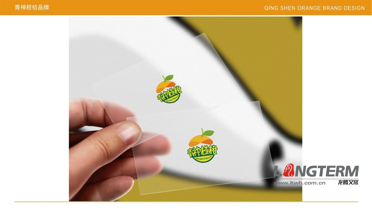 青神椪柑VI設(shè)計(jì)
