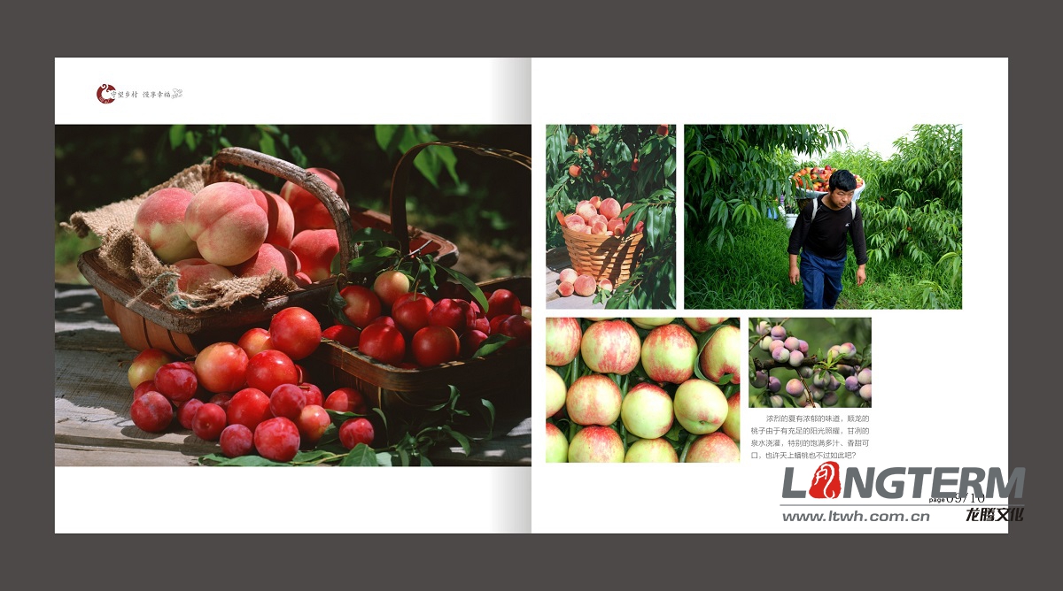 順龍城市形象畫(huà)冊(cè)