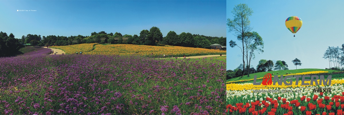 蒲江·新語(yǔ)畫冊(cè)設(shè)計(jì)