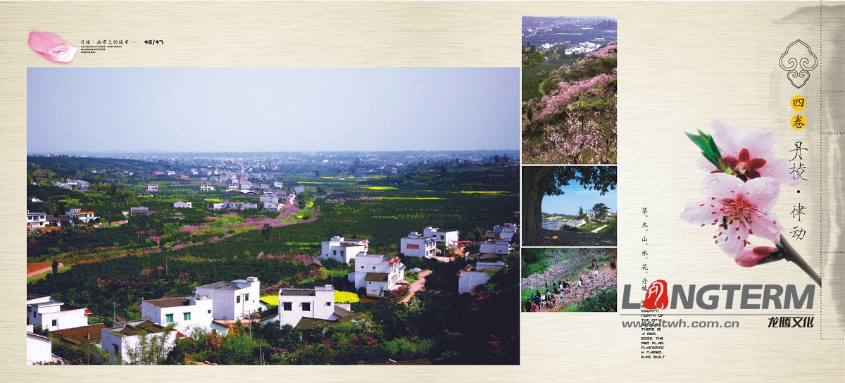 丹棱縣城市形象宣傳畫冊設計