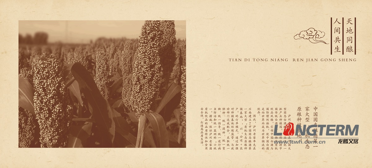 瀘州老窖光盤包裝設(shè)計(jì)