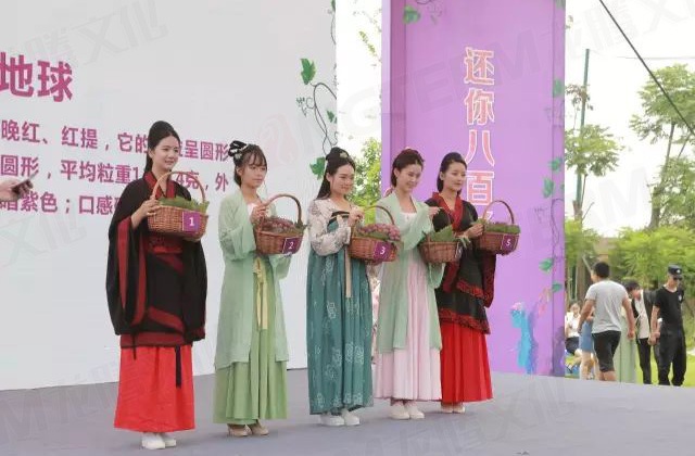 繽紛葡萄節(jié)，打響彭山旅游第一炮！