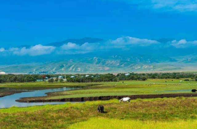 四川省涼山彝族自治州雷波縣商務經(jīng)濟和外事局招商引資宣傳片制作方案