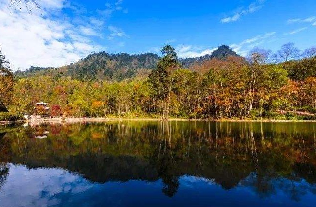 雅安市石棉縣保護區(qū)成立20周年成果展現(xiàn)宣傳片《栗子坪國家級自然保護區(qū)成立 20 周年回顧》制作內(nèi)容