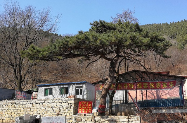 四川省攀枝花市東區(qū)人民政府瓜子坪街道辦事處“七戶人家一棵樹”書籍、宣傳片拍攝制作服務內(nèi)容