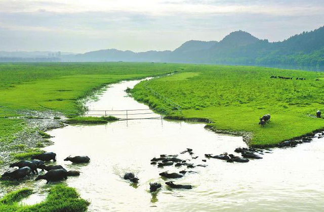 四川省南充市蓬安縣農(nóng)業(yè)農(nóng)村局蓬安縣嘉陵牛村田園生活館沙盤制作、五大振興展示、宣傳片拍攝制作