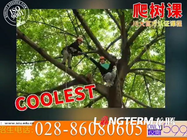 完爆清華招生宣傳片的“川大招生宣傳片”，看完還想二刷的“內(nèi)味”熱血影片