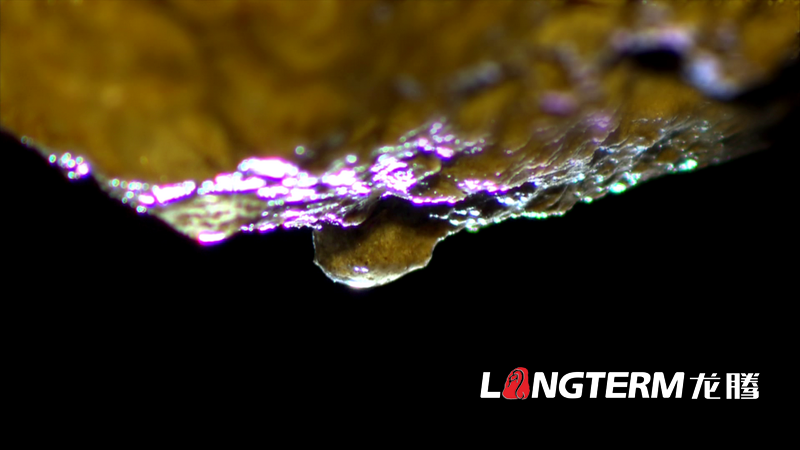 《穿越之旅-中國(guó)·白鹿》彭州白鹿鎮(zhèn)旅游宣傳片（中英文字幕角標(biāo)版）拍攝制作