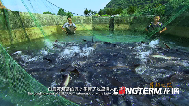 《穿越之旅-中國(guó)·白鹿》彭州白鹿鎮(zhèn)旅游宣傳片（中英文字幕角標(biāo)版）拍攝制作