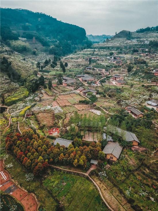 交通運(yùn)輸部“行在鄉(xiāng)村 游在路上”脫貧攻堅自駕宣傳主題活動四川站啟動儀式于2020年11月17日在丹棱