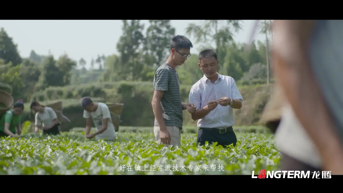 紀(jì)錄片制作的拍攝手法和基本原則