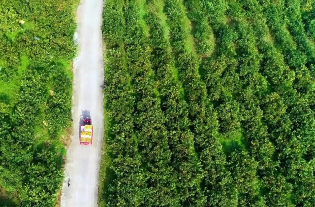 茶葉宣傳片制作技巧？茶葉宣傳片制作要點(diǎn)？