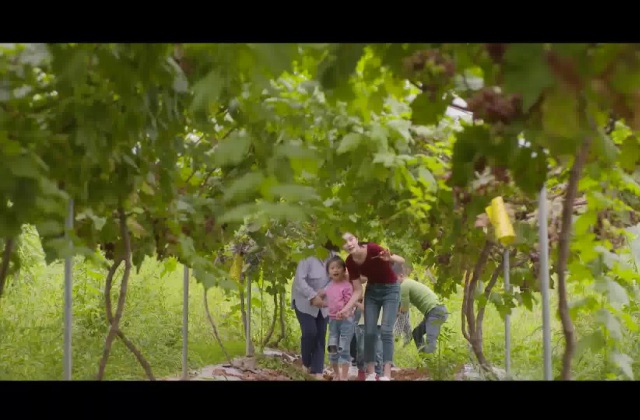 宣傳片腳本怎么寫范文大全？宣傳片寫腳本的方法和技巧