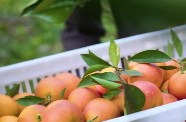 產(chǎn)品宣傳視頻怎么制作？產(chǎn)品宣傳小視頻怎么制作？