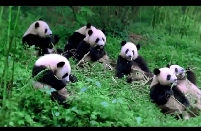 拍攝5分鐘企業(yè)宣傳片的價(jià)格是多少？5分鐘宣傳片拍攝價(jià)格