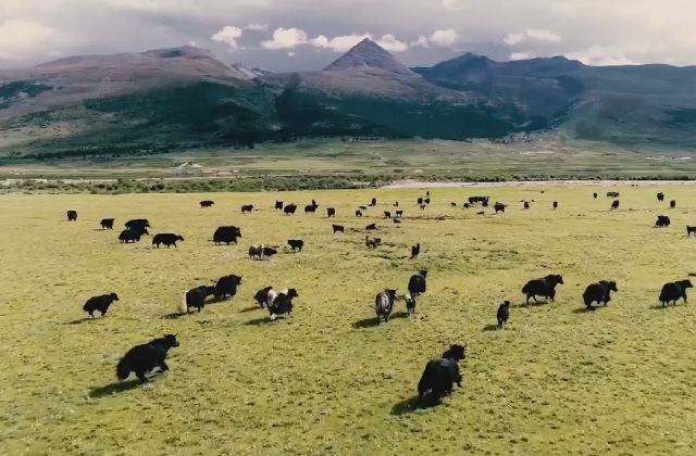 紅色旅游宣傳片怎么寫腳本？如何制作優(yōu)秀的紅色旅游宣傳片？