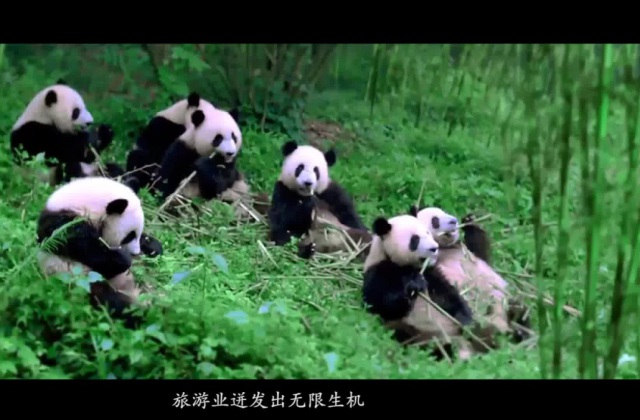 成都市生態(tài)環(huán)境宣傳教育2022年成都生態(tài)環(huán)境可視宣傳項(xiàng)目