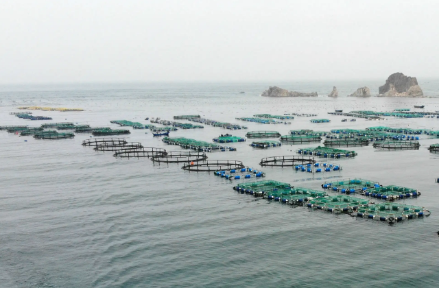 海洋經(jīng)濟(jì)宣傳片制作需要注意什么呢？