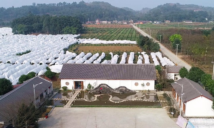 德陽(yáng)鄉(xiāng)村旅游民宿宣傳片制作過(guò)程是什么？