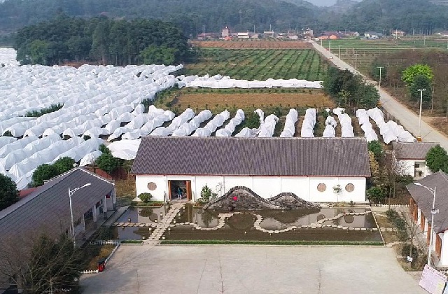 德陽鄉(xiāng)村旅游民宿宣傳片制作過程是什么？