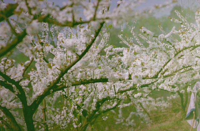 成都環(huán)保宣傳片拍攝公司有哪些,如何選擇？