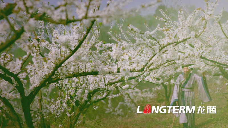 成都環(huán)保宣傳片拍攝公司有哪些,如何選擇？