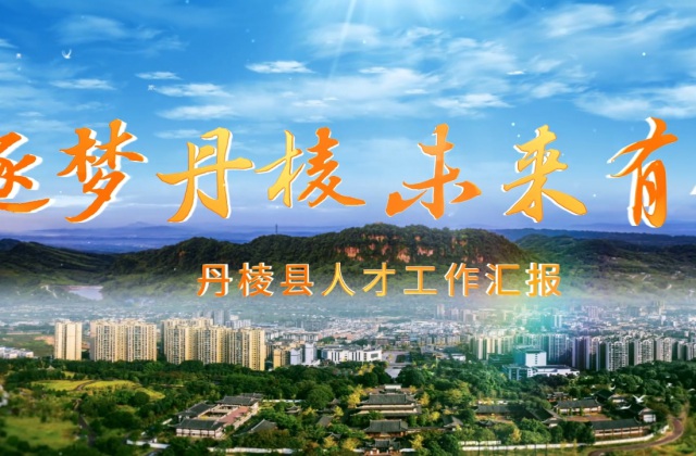 丹棱縣人才工作匯報(bào)片